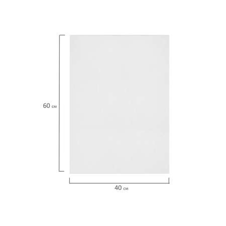 Холст для рисования Brauberg на картоне большой 40x60 см набор 2 штуки