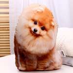 Иглбол mni mnu