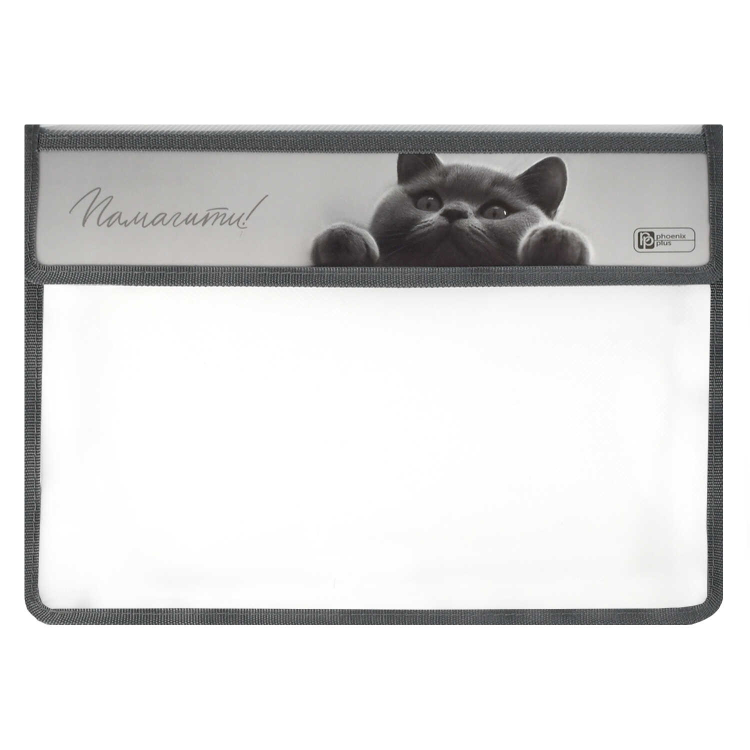 Папка для тетрадей Феникс + Кот А4 - фото 3