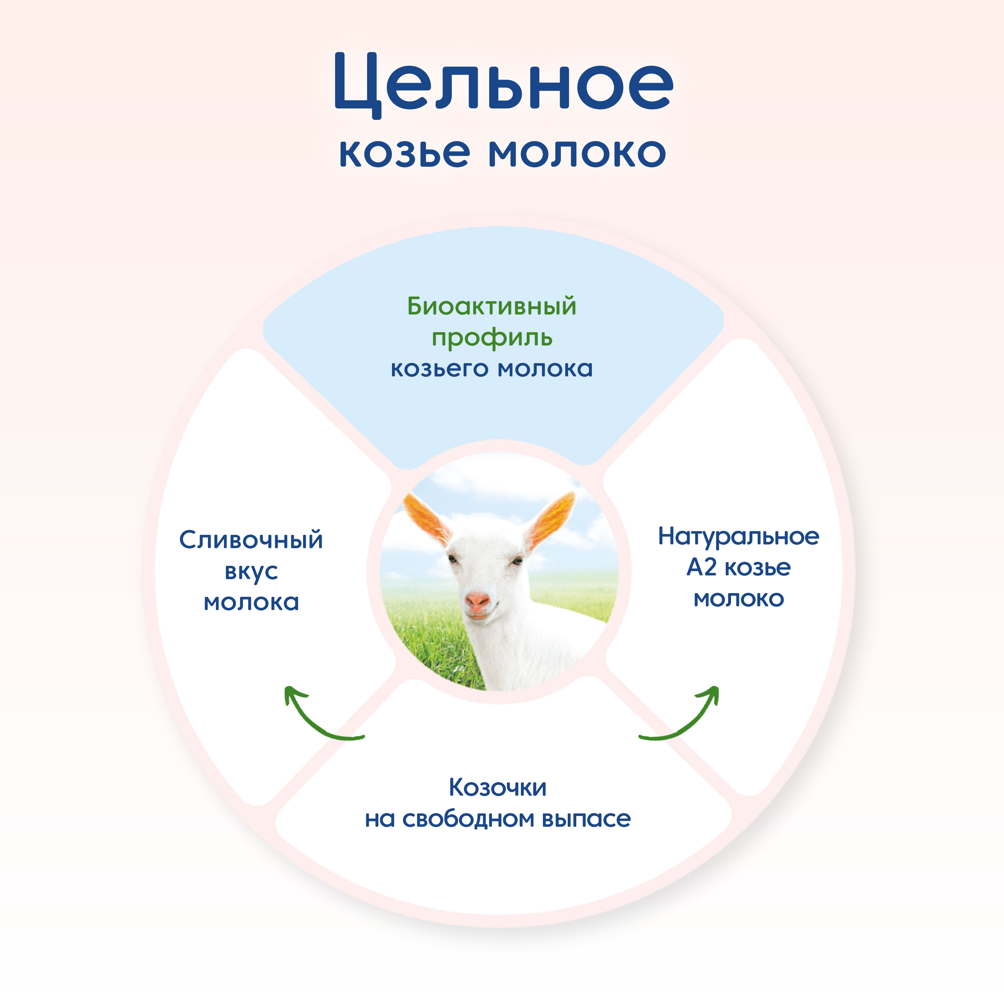 Смесь Мамако 2 Premium на козьем молоке 800г с 6месяцев - фото 3