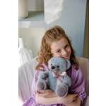 Мягкая игрушка ПЛЮШЛЕНД мишка мишка