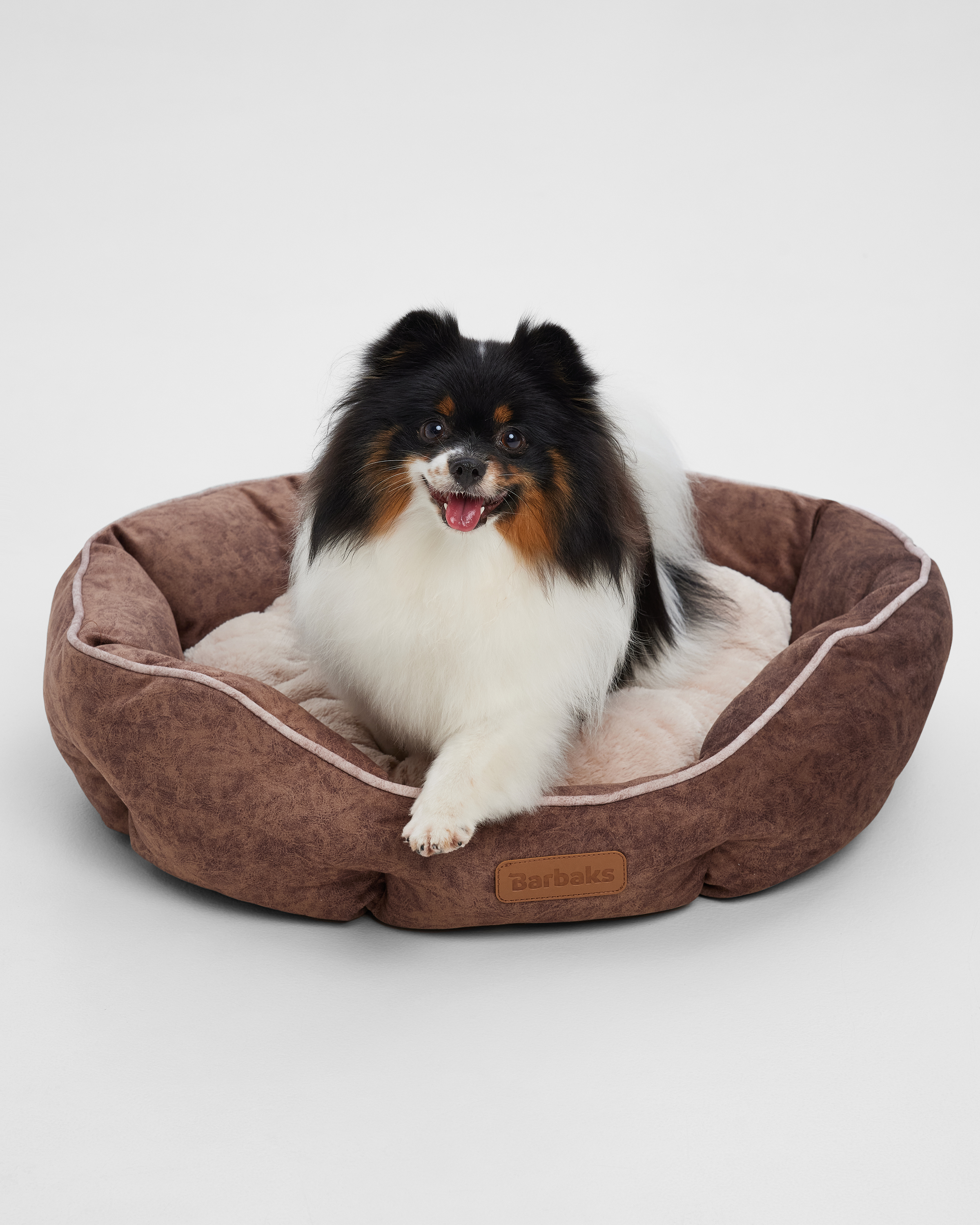 Лежанка для собак Barbaks Крем-брюле M 60*50*18см со съемной подушкой - фото 1