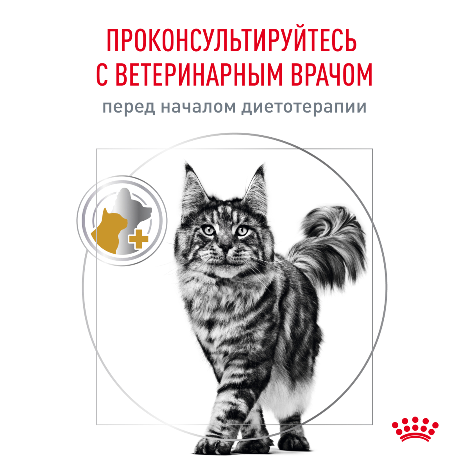 Корм для кошек ROYAL CANIN Urinary s/o moderate calorie от мочекаменной болезни 85г - фото 11