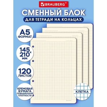Тетрадь со сменным блоком Brauberg клетка 120 лист.