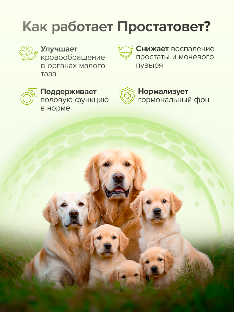 Кормовая добавка Pets health Простатовет для кобелей - фото 2