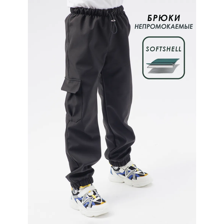 Брюки Lemonwear