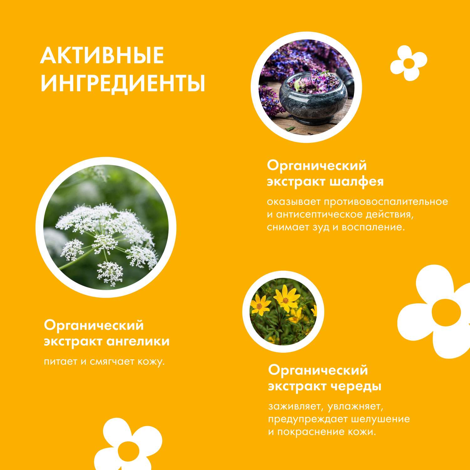 Пена Siberica Биберика 150 мл - фото 7