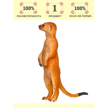 Игровой набор Masai Mara