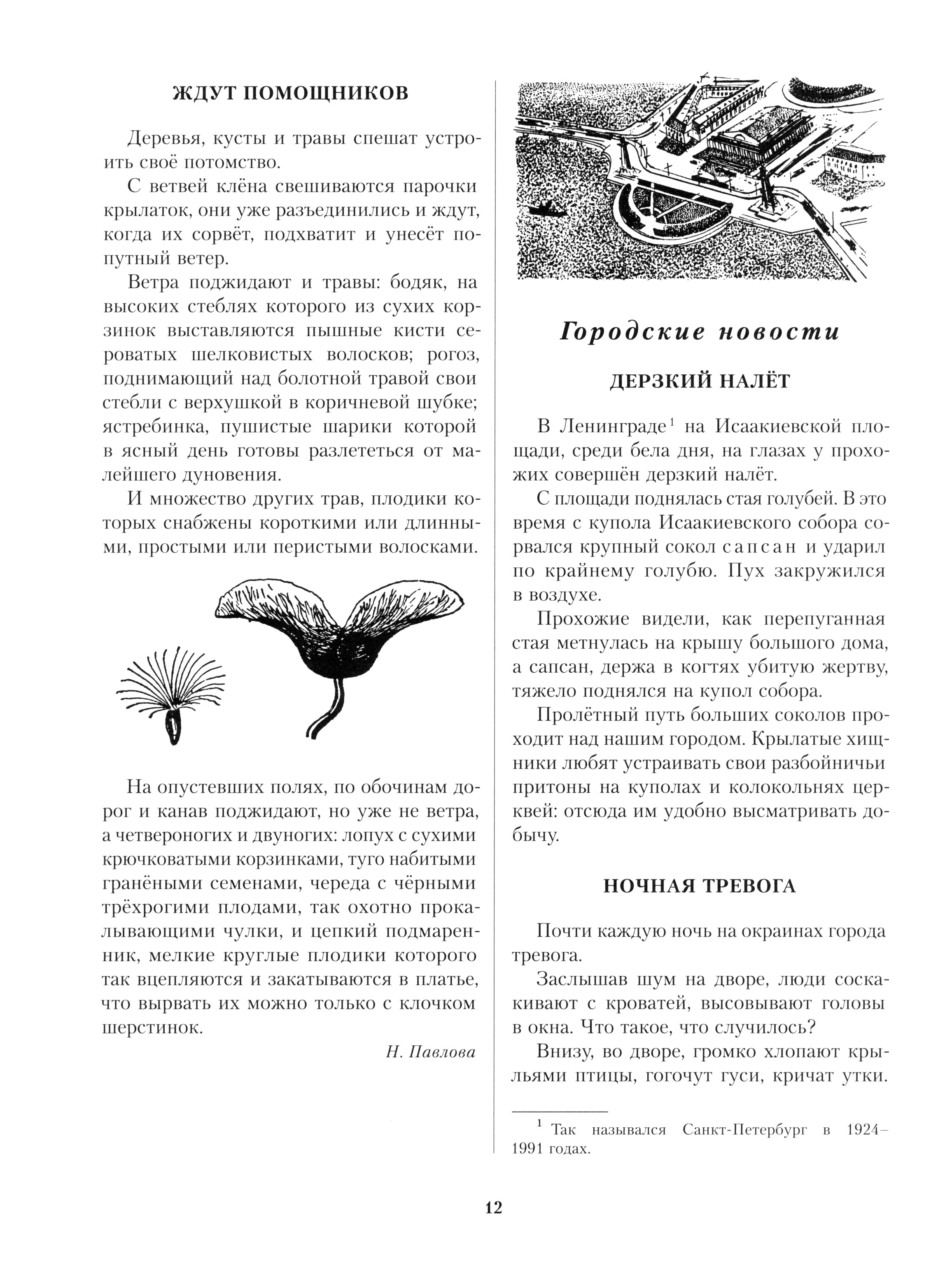 Книга Стрекозa Лесная газета Осень - фото 4