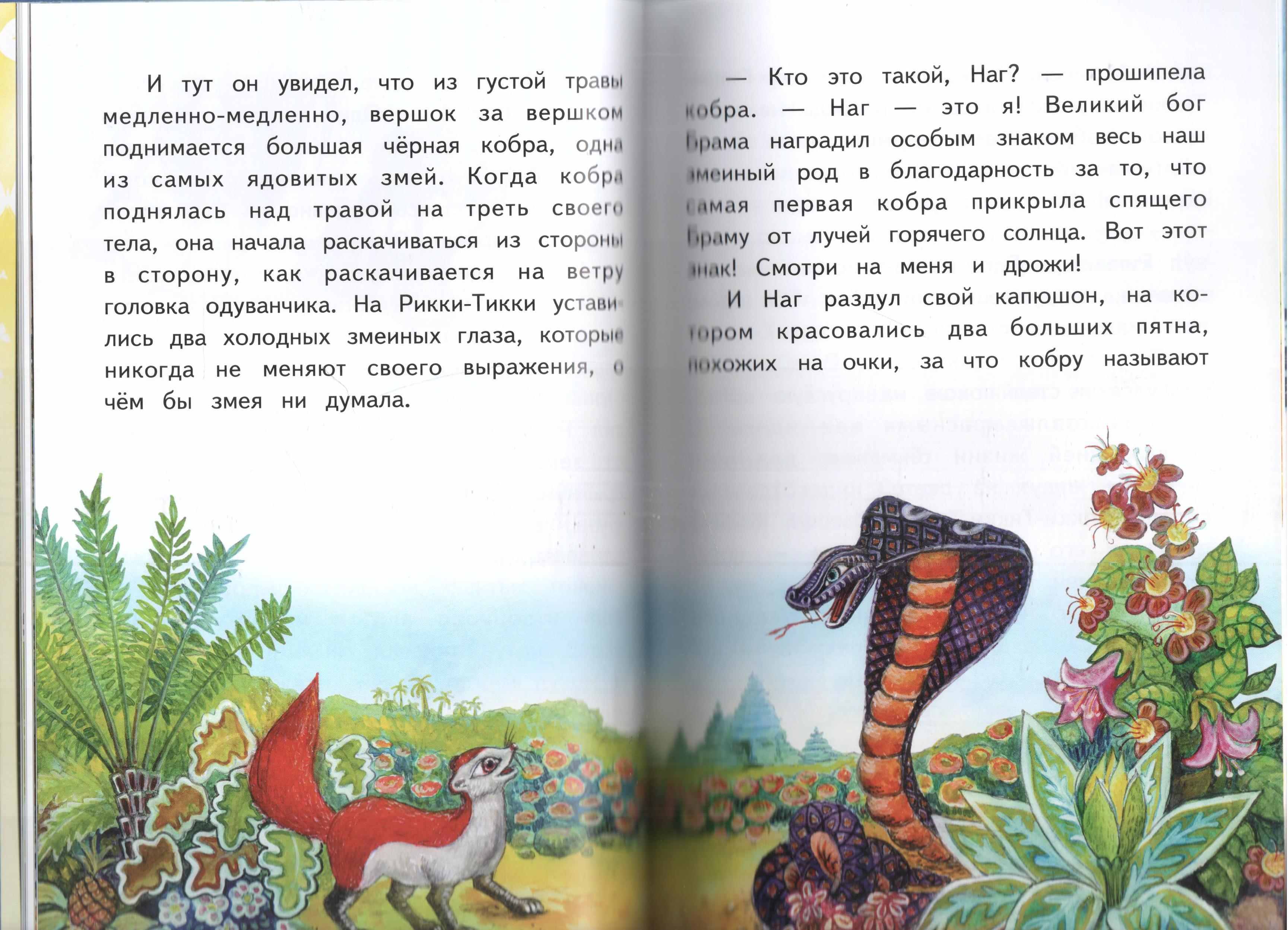 Книга Лада Рикки-Тикки-Тави - фото 4