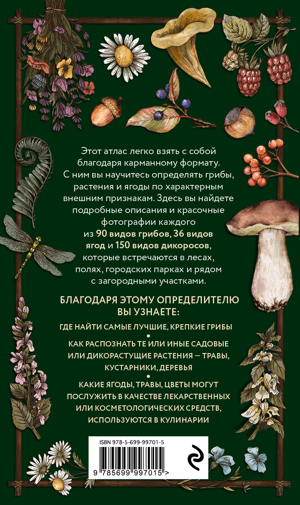 Книга Эксмо Лесной гид грибы ягоды травы Карманный атлас определитель - фото 2