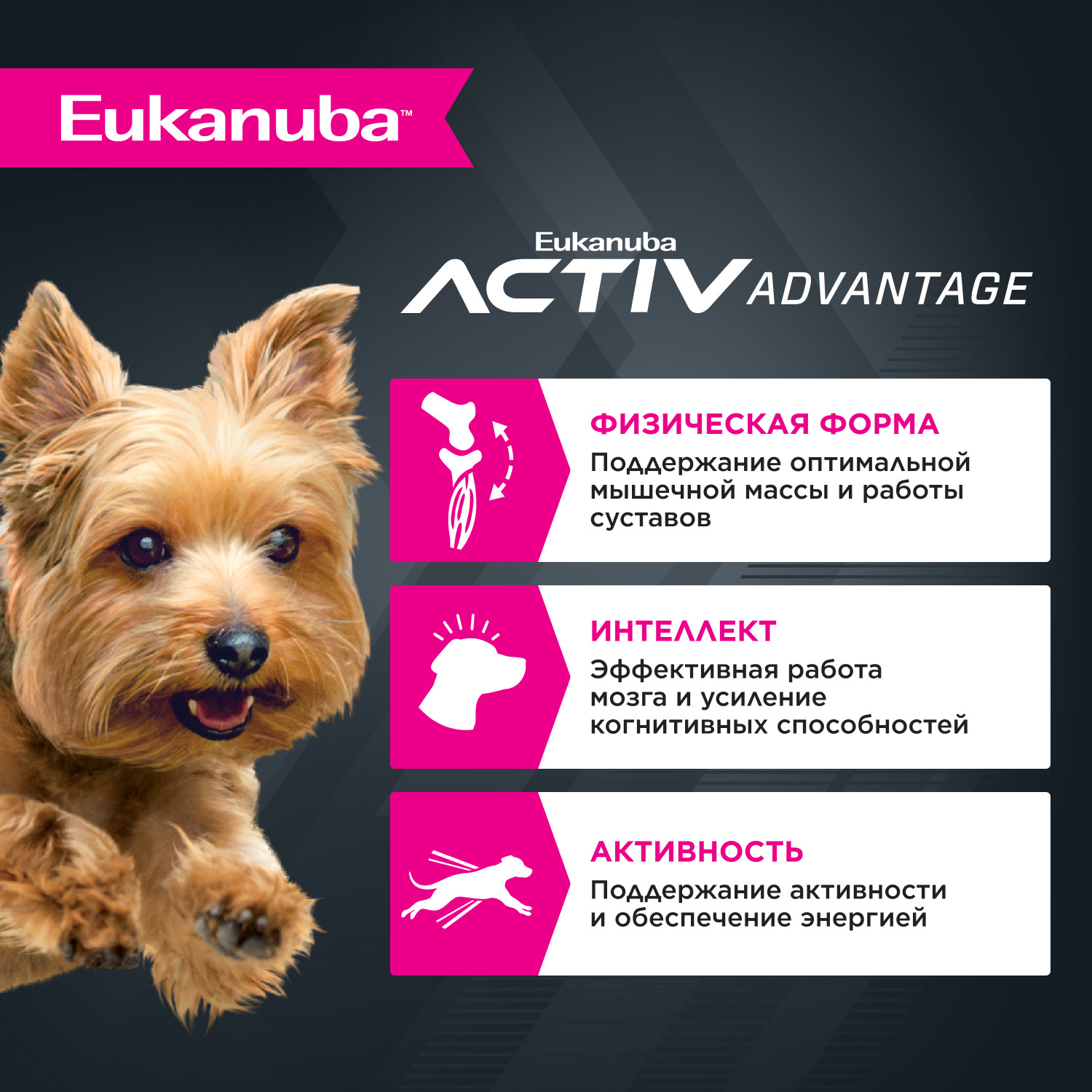 Корм Eukanuba Dog 1.5кг для взрослых собак миниатюрных пород сухой - фото 2