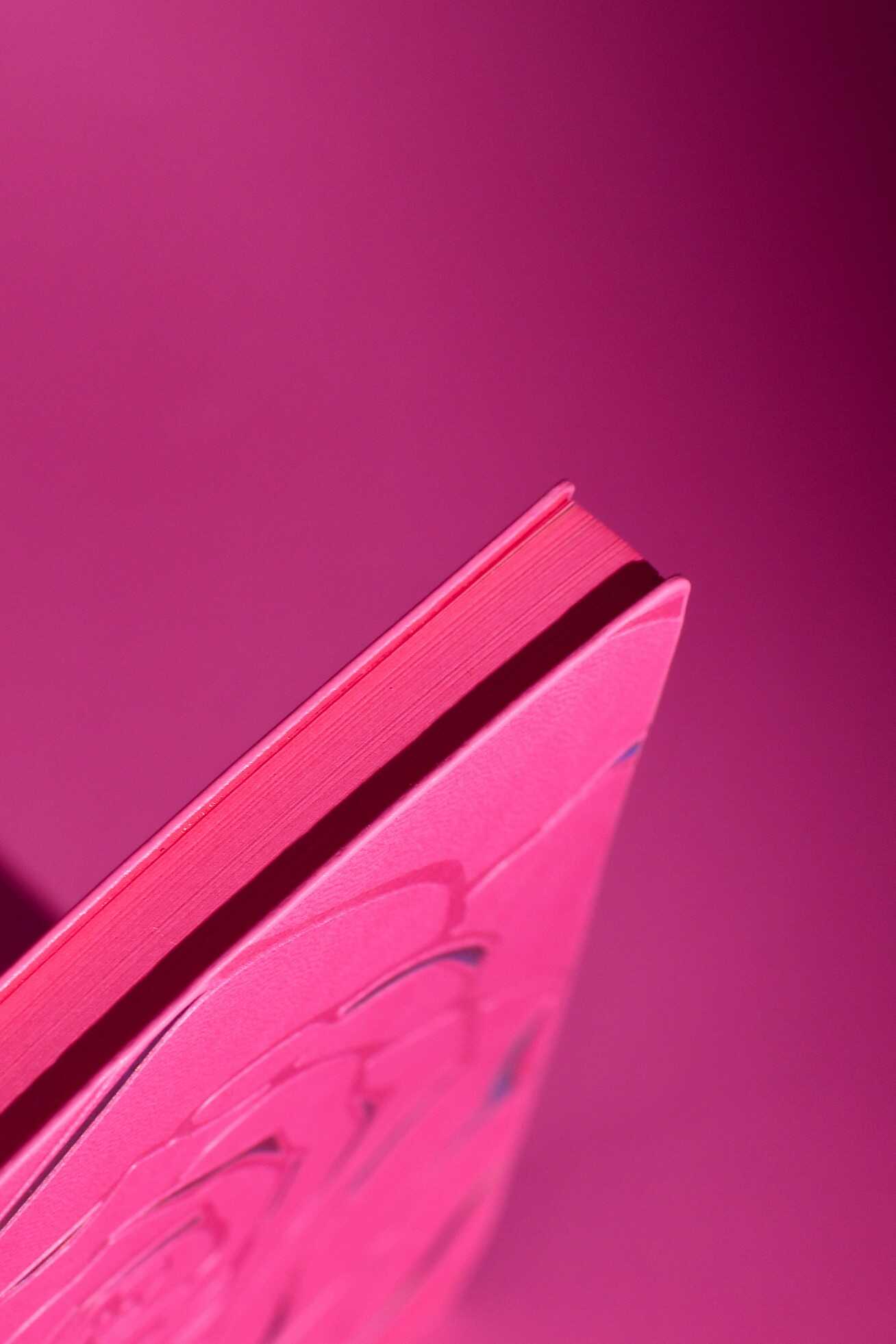 Ежедневник Феникс + ESCALADA 120 лист. - фото 9