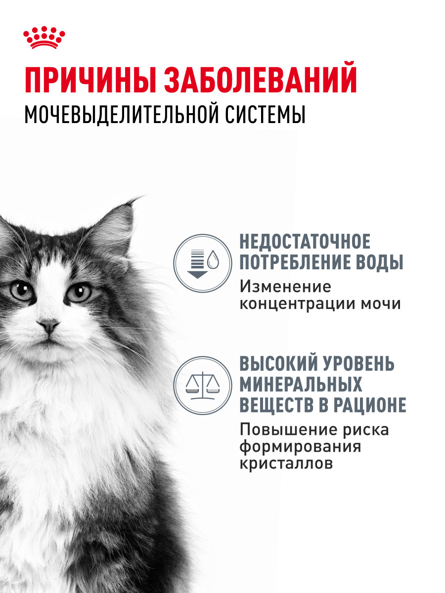 Корм для кошек ROYAL CANIN Urinary Care 4кг для поддержания здоровья мочевыделительной системы - фото 2