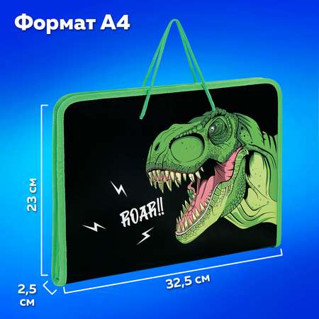Папка для тетрадей Пифагор А4