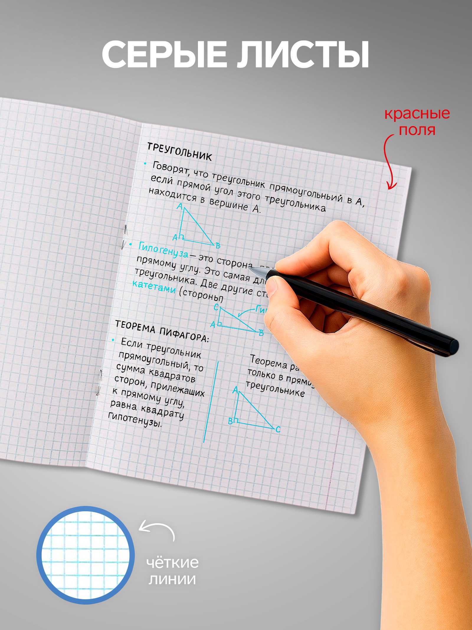 Тетрадь Calligrata клетка - фото 3