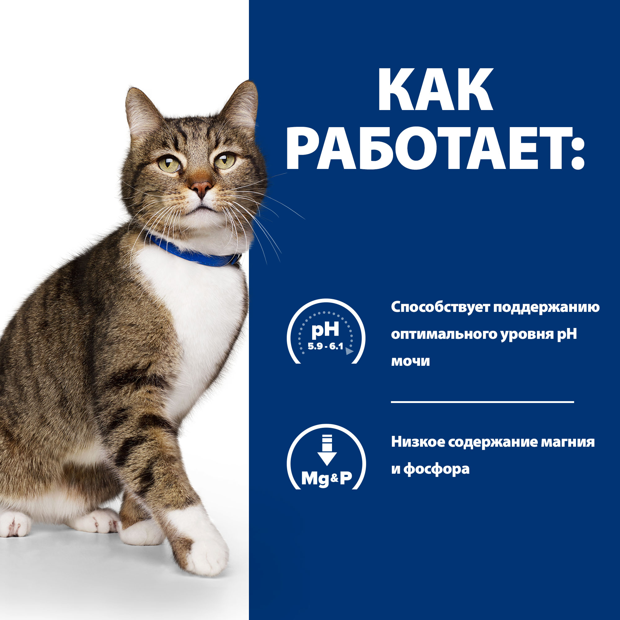 Корм для кошек Hills 3кг Prescription Diet s/d Urinary Care диетический при профилактике мочекаменной болезни (мкб) - фото 3