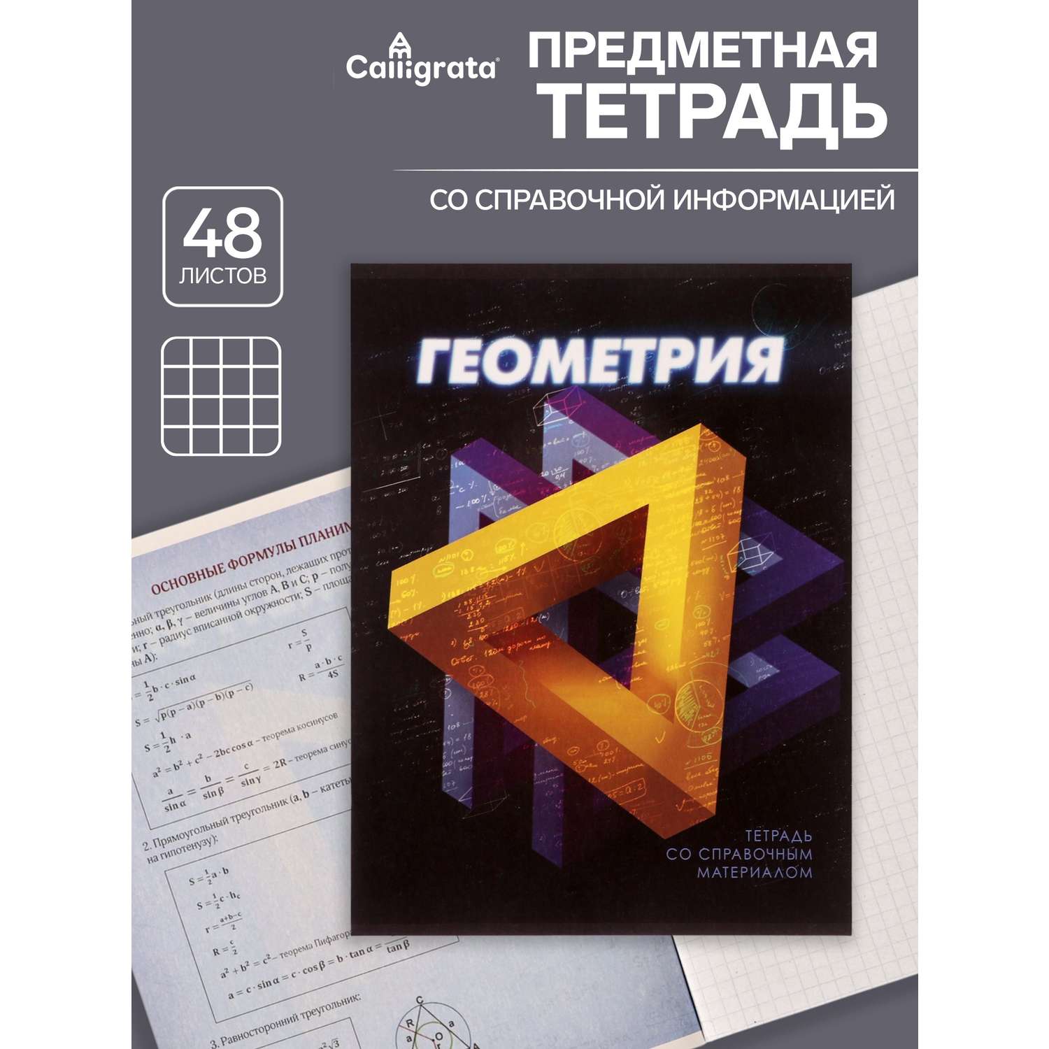 Тетрадь предметная Геометрия 3D 48л клетка 5927005 - фото 1