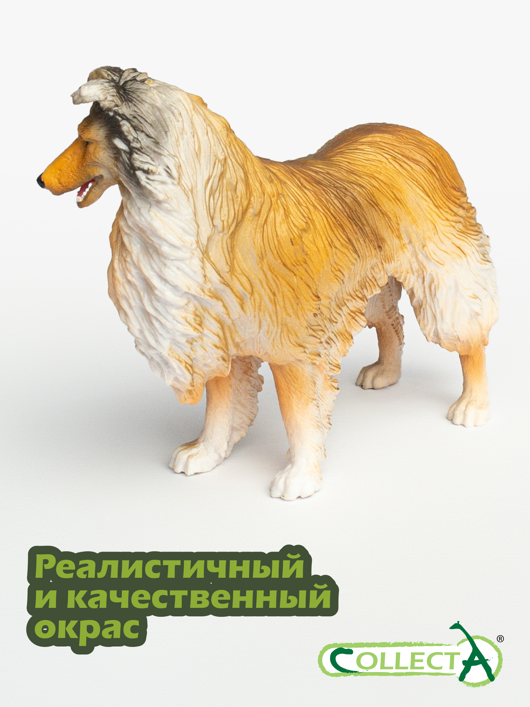 Фигурка Collecta Собака Колли - фото 5