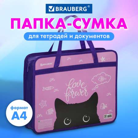 Папка с ручками Brauberg
