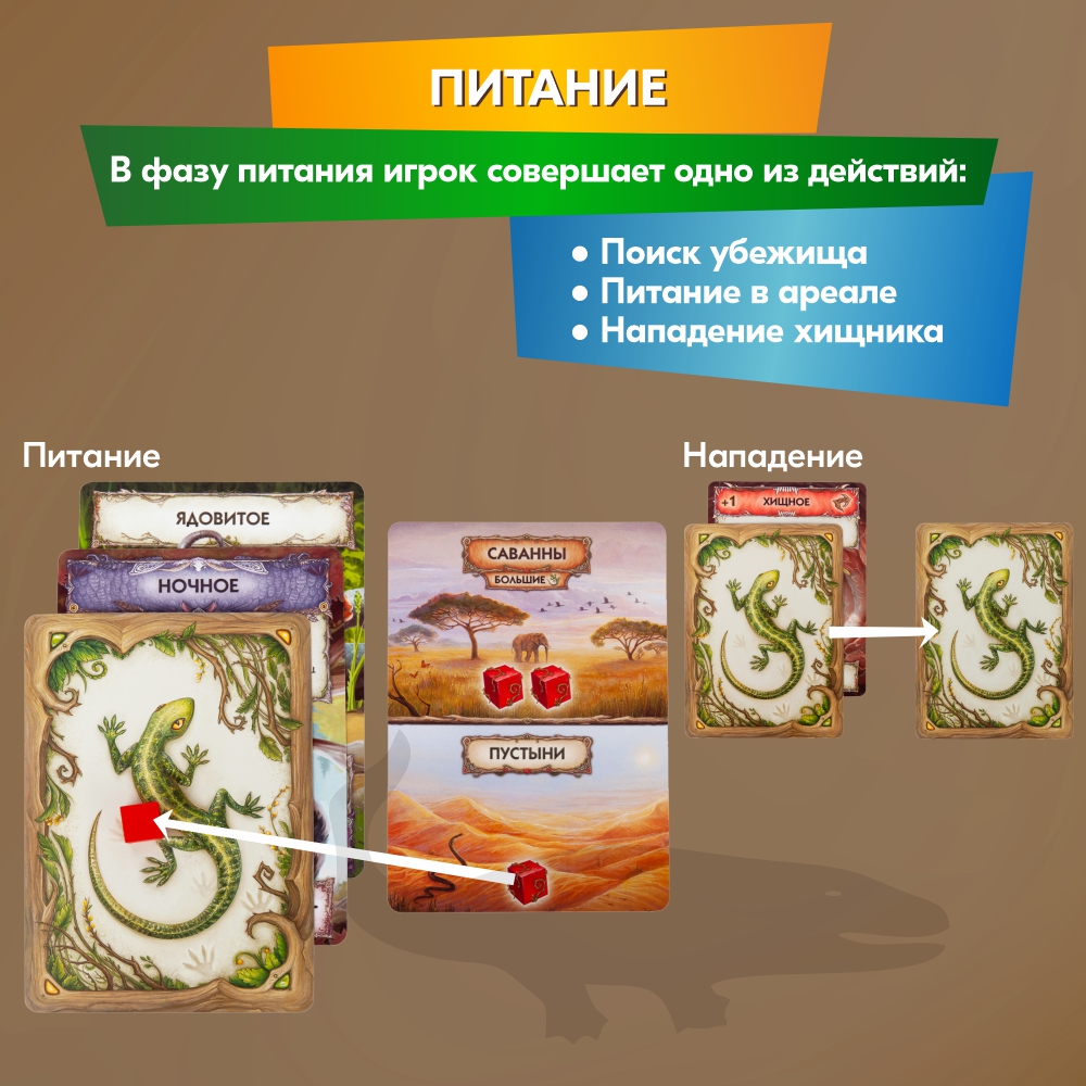 Настольная игра Правильные Игры Эволюция Новый мир - фото 14