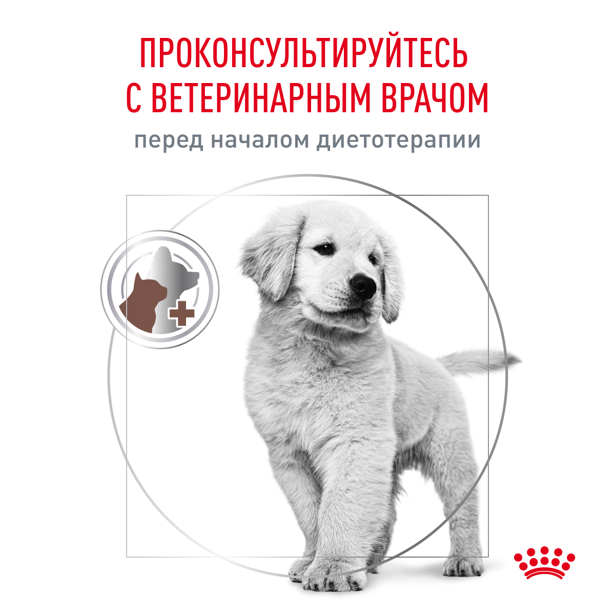 Корм для щенков ROYAL CANIN Gastro Intestinal Junior GIJ29 при нарушениях пищеварения 1кг - фото 9