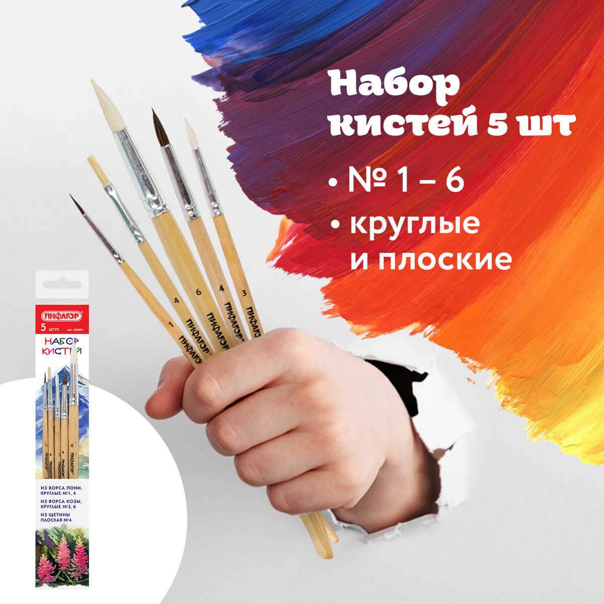 Кисть Пифагор 5 шт. (коза, пони, щетина) - фото 1