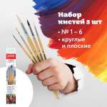 Кисть Пифагор 5 шт. (коза, пони, щетина)