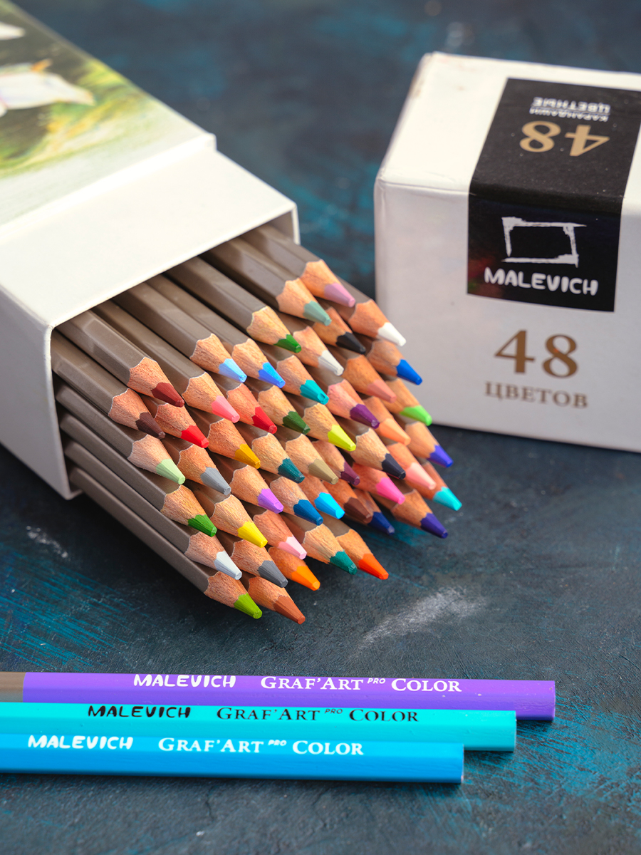 Карандаши цветные Малевичъ 48 шт. - фото 4
