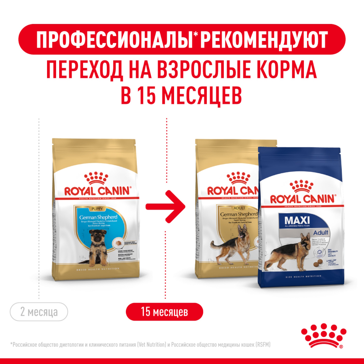 Корм для щенков ROYAL CANIN German Shepherd Puppy породы немецкая овчарка 12кг - фото 4