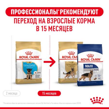 Корм для щенков ROYAL CANIN German Shepherd Puppy породы немецкая овчарка 12кг