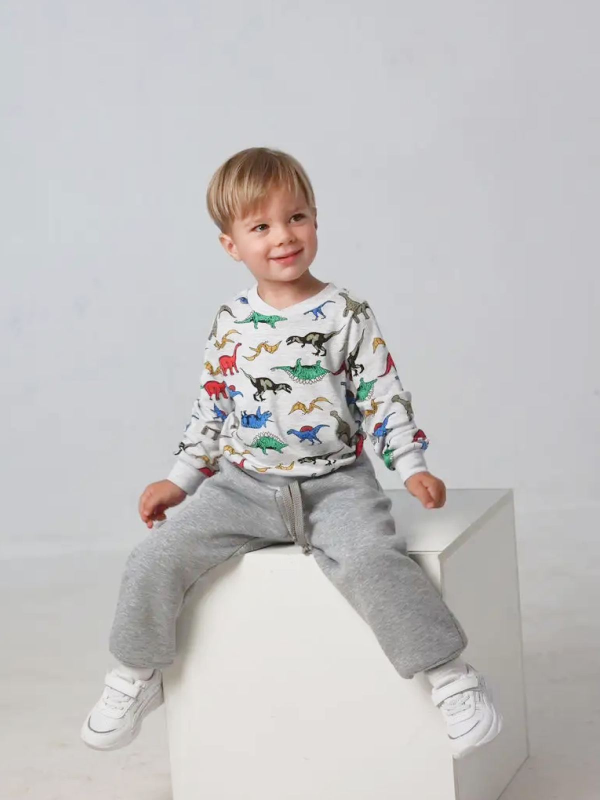 Свитшот Касаточка СШ-11и серый с рисунком Динозавры - фото 1