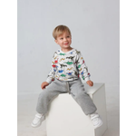 Свитшот Касаточка