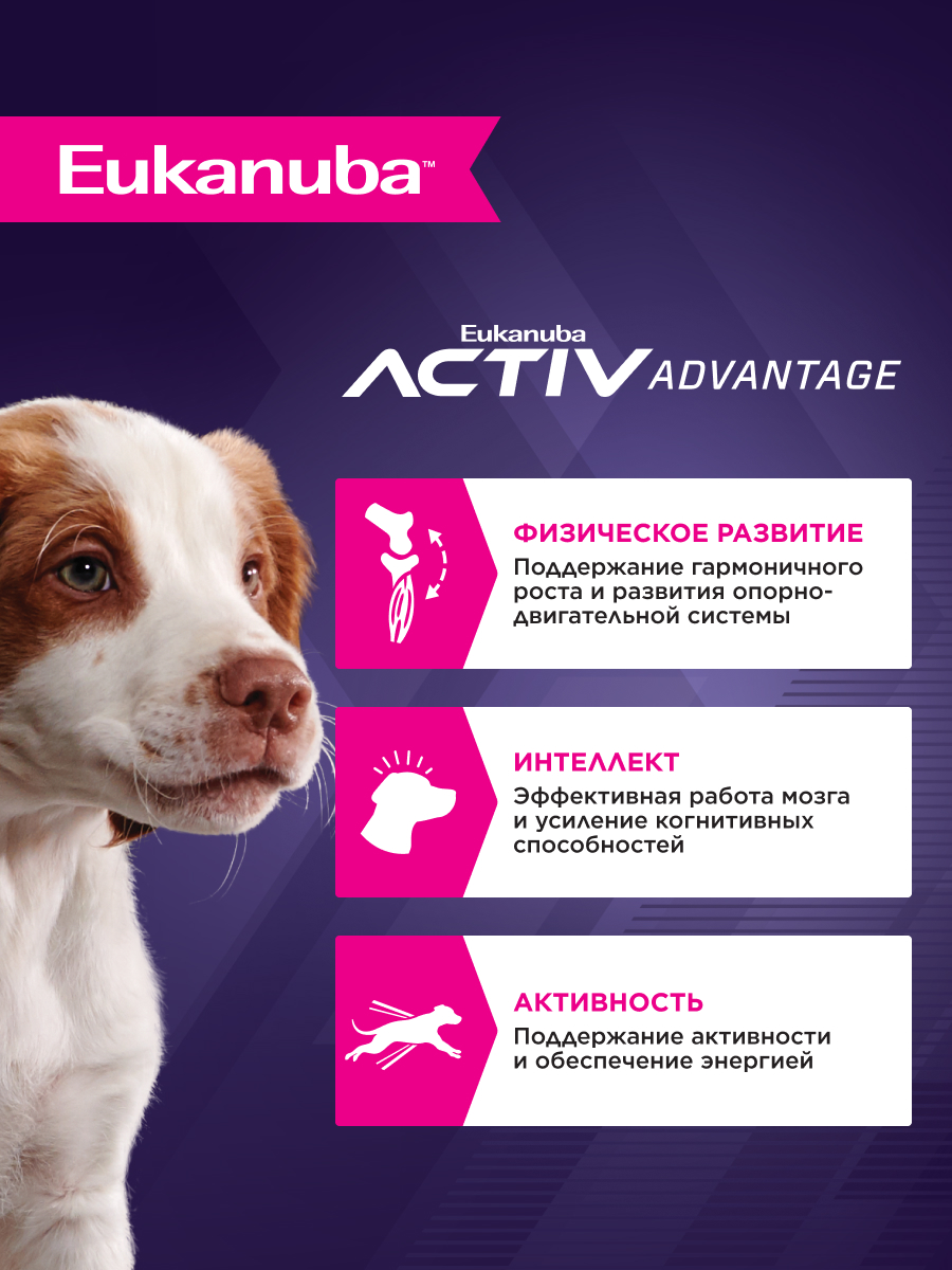 Корм для собак Eukanuba 800г Паппи МедиумБрид 12м - фото 2
