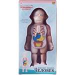 Игрушка Abtoys Доктор (инструменты)