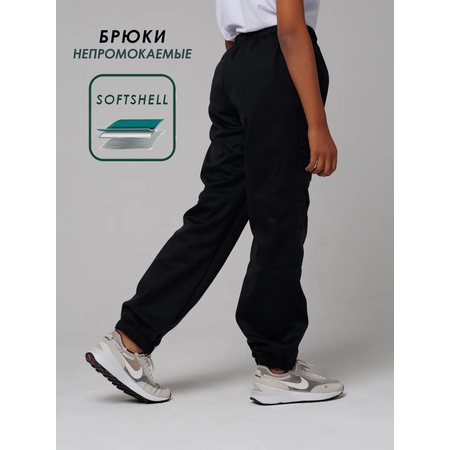 Брюки Lemonwear