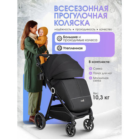 Коляска прогулочная Costa всесезонная черный