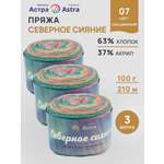 Пряжа Astra Premium 100гр 210м 3шт