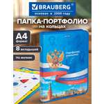 Портфолио школьника Brauberg папка А4 на молнии 8 вкладышей
