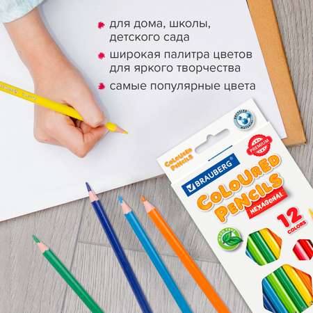 Карандаши цветные Brauberg 12 шт.