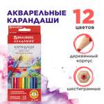 Карандаши акварельные Brauberg 12 шт.