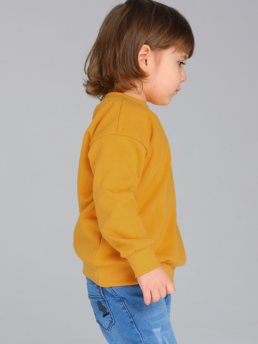 Свитшот Дашенька 1697/144 - фото 5