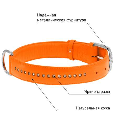 Ошейник для собак Waudog Glamour Оранжевый 38744
