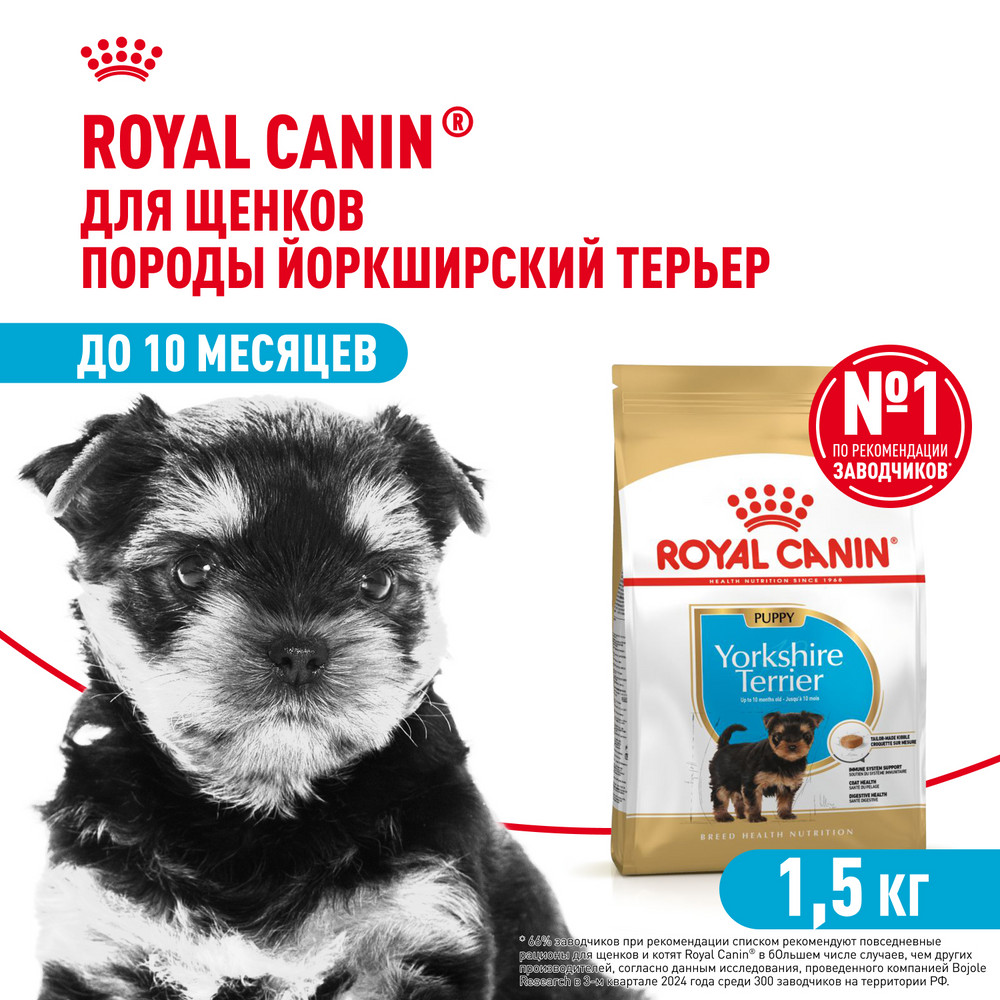 Корм для щенков ROYAL CANIN Junior породы йоркширский терьер 1.5кг - фото 1