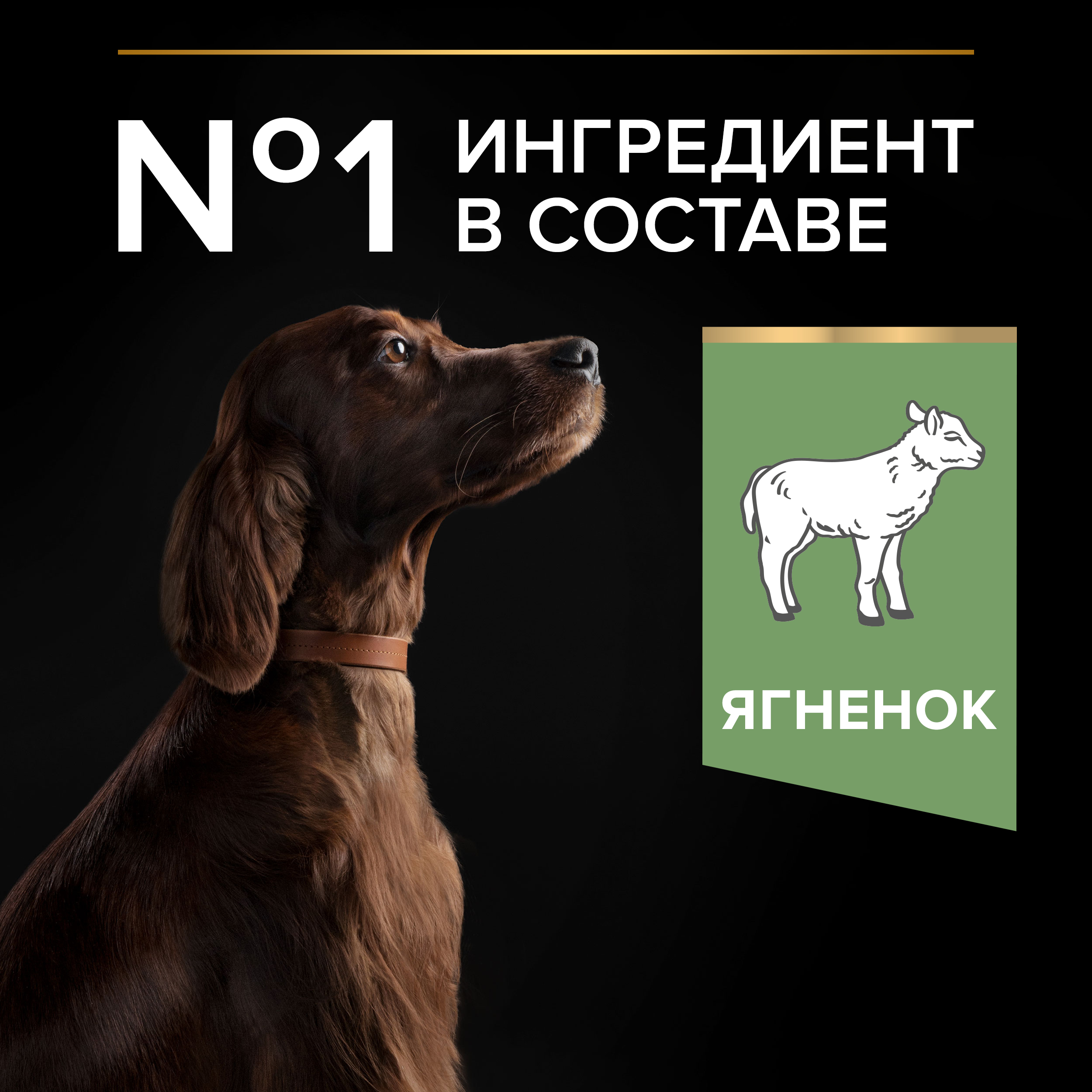 Корм для собак PRO PLAN крупных пород с атлетическим телосложением с чувствительным пищеварением с комплексом Optidigest ягненок с рисом 3кг - фото 4
