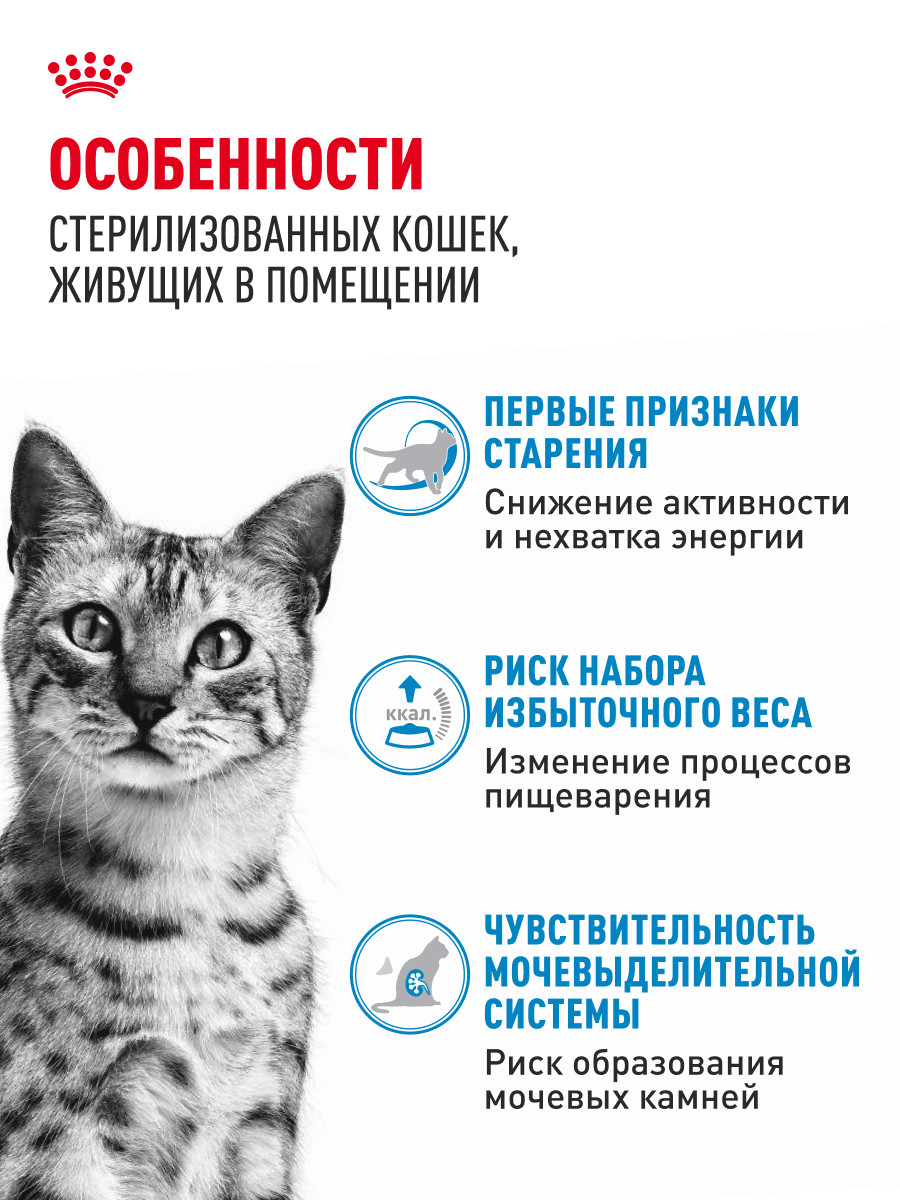 Корм для кошек ROYAL CANIN Indoor Sterilised для взрослых кастрированных и стерилизованных паштет 85г - фото 2
