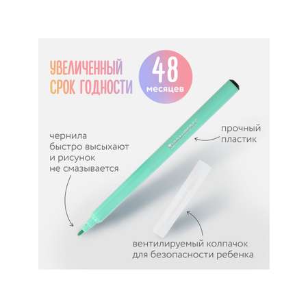 Фломастеры Brauberg 12 цв.