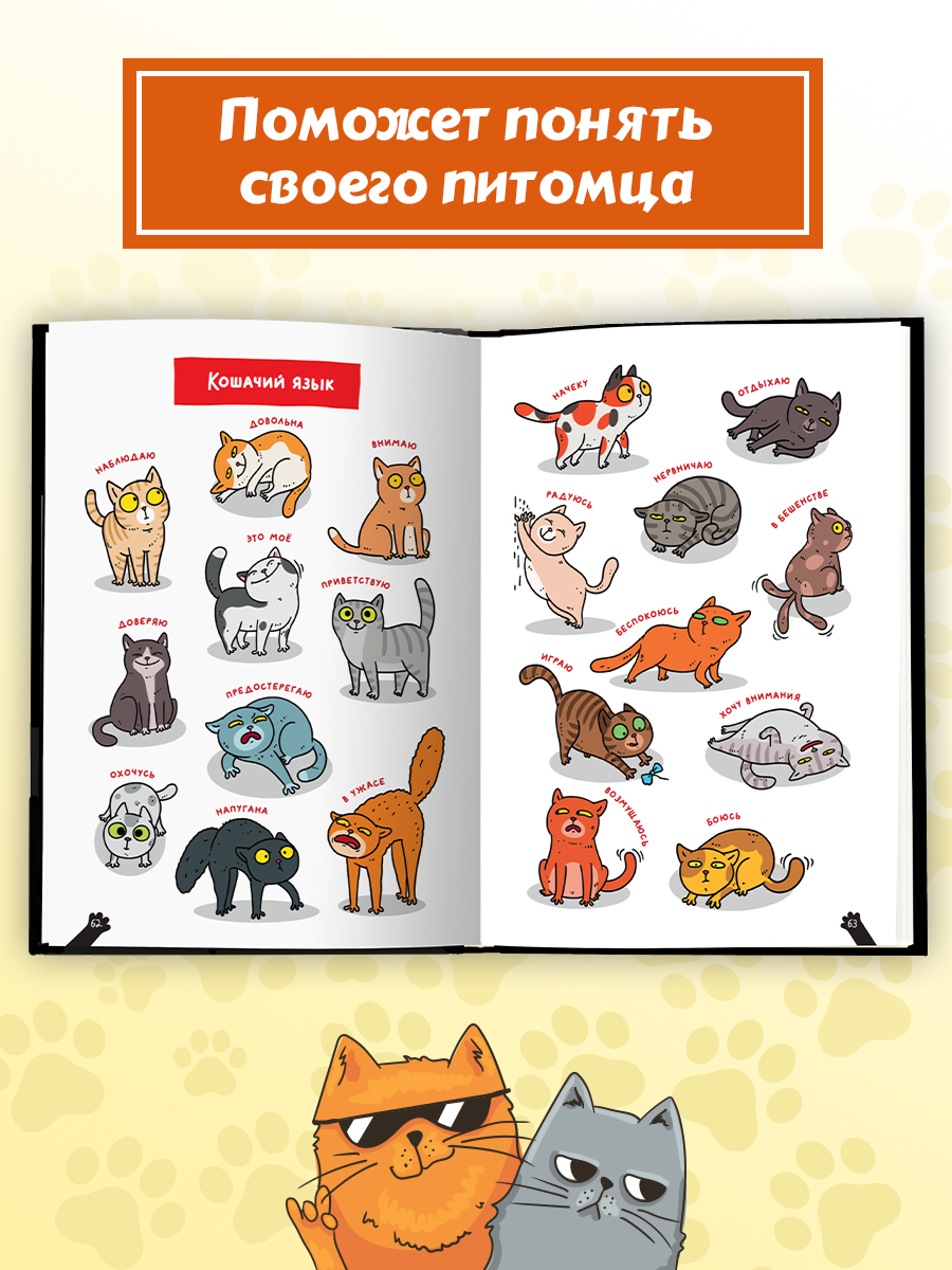 Книга Проф-Пресс детская энциклопедия Кошки. Большие секреты маленьких хищников - фото 7