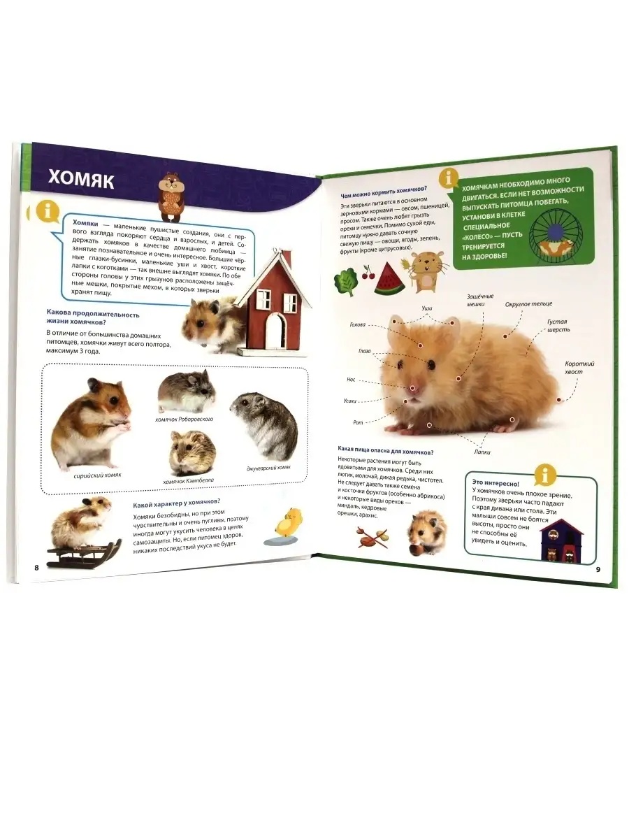 Книга Проф-Пресс Первая детская энциклопедия Всё о домашних питомцах малышам - фото 2