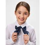 Галстук Acoola